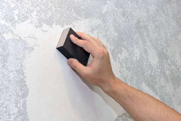 Best Industrial Mold Remediation  in Antioch, CA