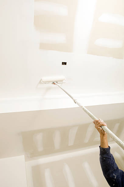 Best Environmental Consulting for Mold Prevention  in Antioch, CA